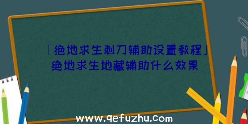 「绝地求生刺刀辅助设置教程」|绝地求生地藏辅助什么效果